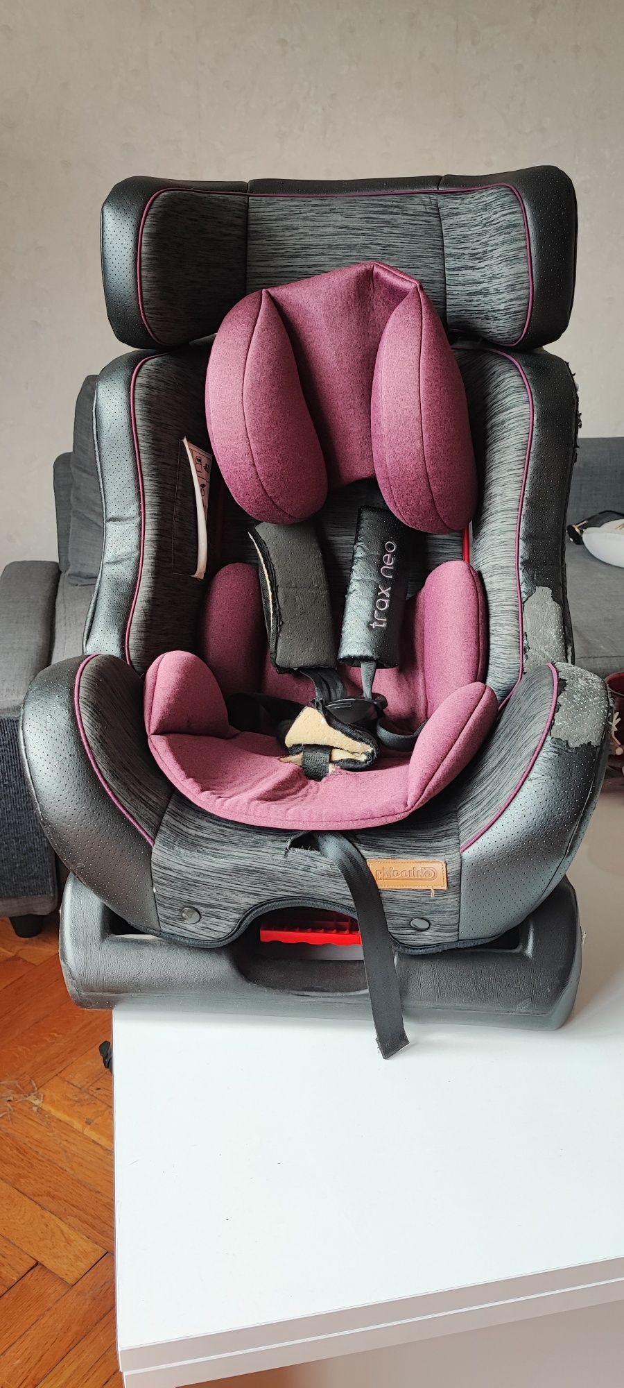 chipolino trax neo