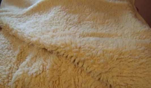 китеници домашна вълна