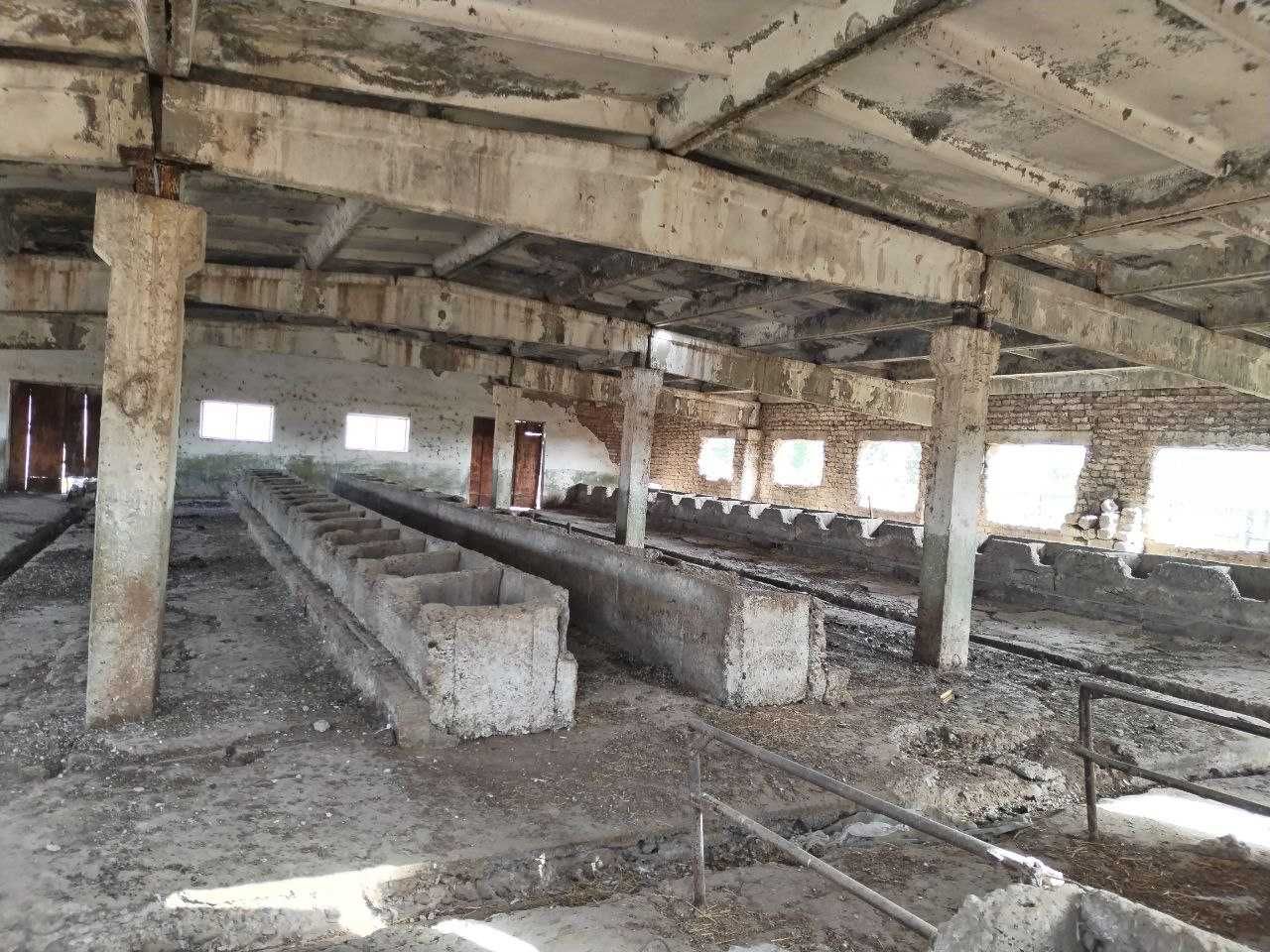 Surxondaryo viloyati, Uzun tumanida Fermaxona binosi sotiladi.