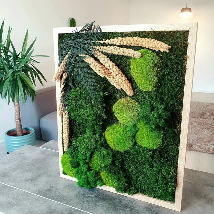 Tablou Licheni mușchi si plante