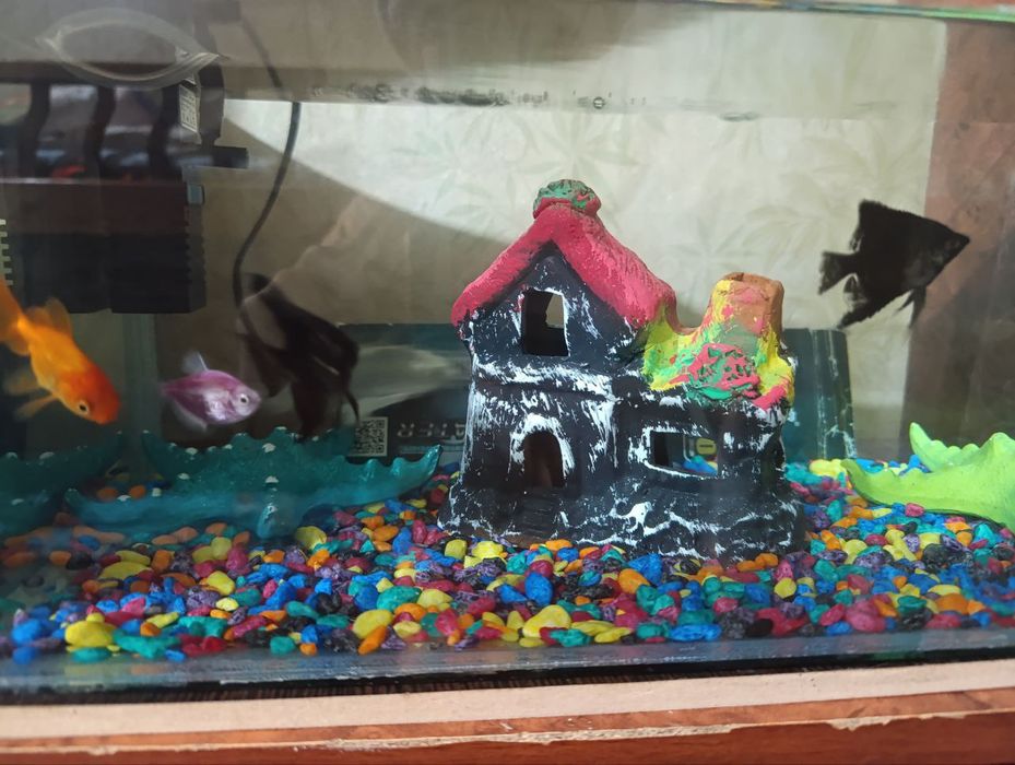 Аквариум сотилади