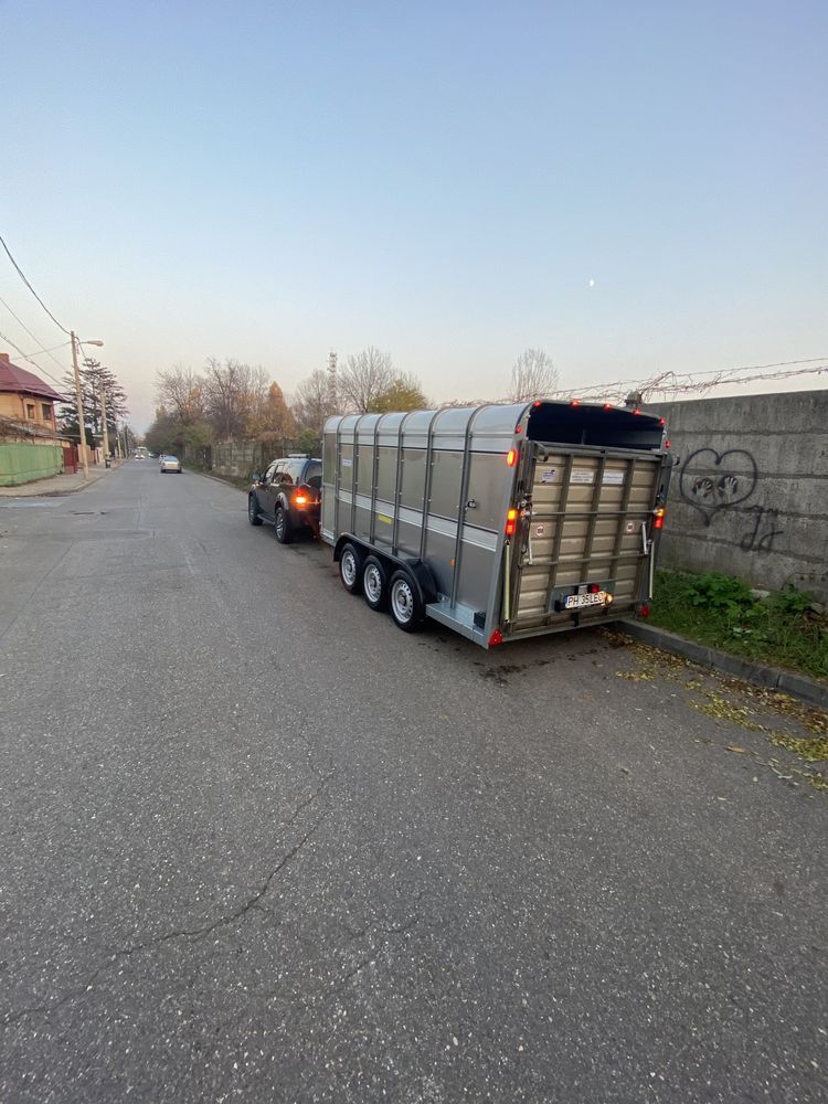 Transport animale vii autorizat / livestock oriunde in Romania