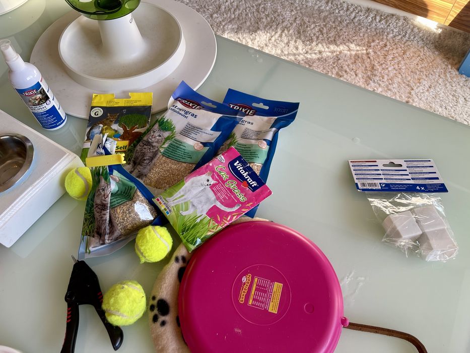 Accesorii pisici mingi jucarii catit iarba matei zgarda castroane
