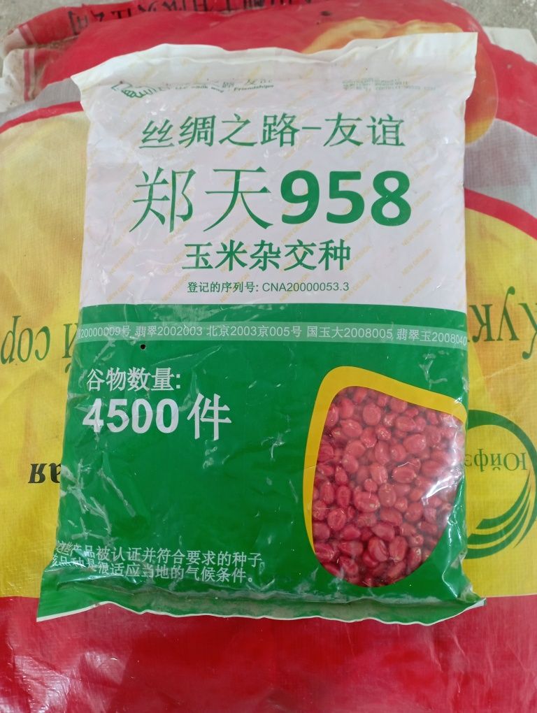 Makkajoxori doni