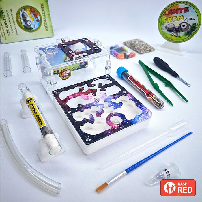 ГИПСОВЫЙ Формикарий "START" ||| Муравьиная ферма - Муравьи жнецы