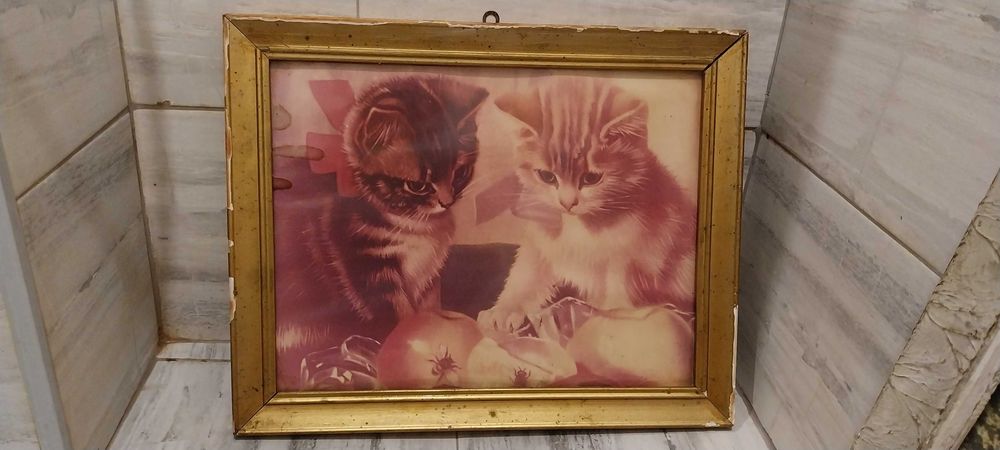 Рамки за картини - гипсови, 18 лв