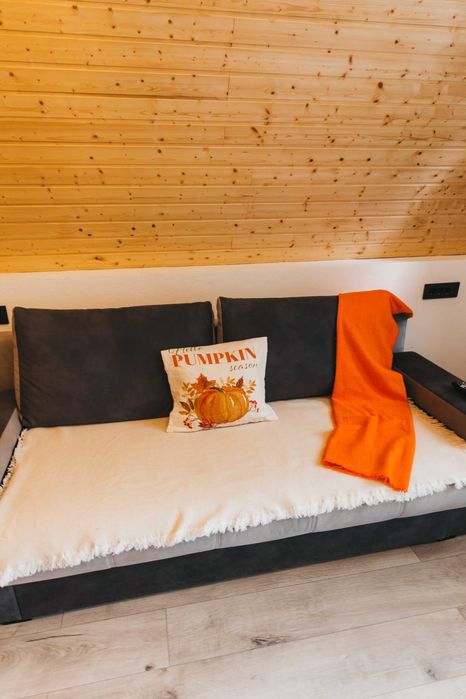 CABANA A-FRAME DE INCHIRIAT - Transalpina, Sugag Casa Iulia