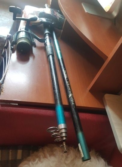 Două bețe de pescuit