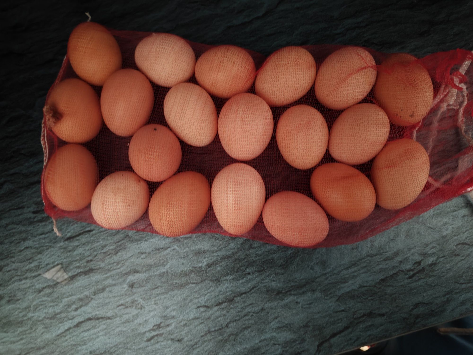 Яйца инкубационные куриные.