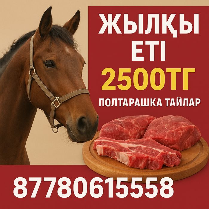 Жылқы еті мясо конина