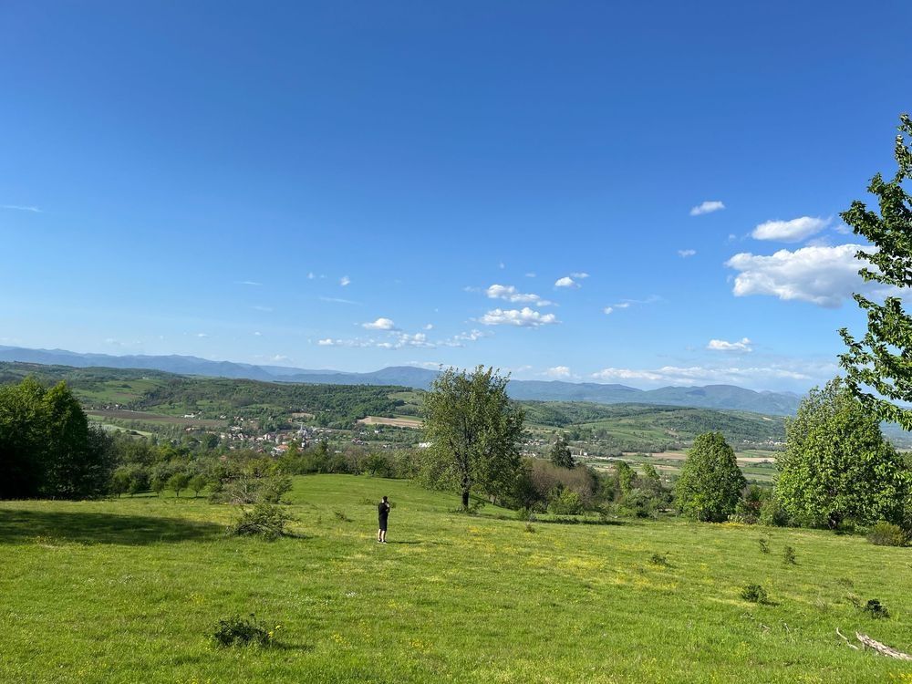 Vând pământ in Copalnic Manastur