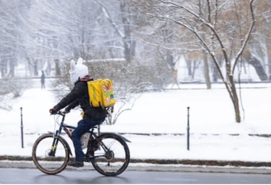 Сдам в аренду скоростные велосипеды и термосумки