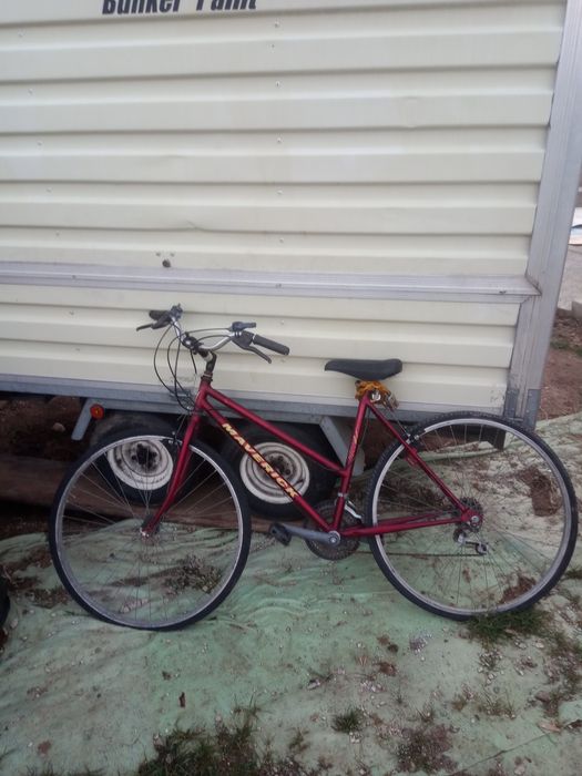 Biciclete (diverse modele)