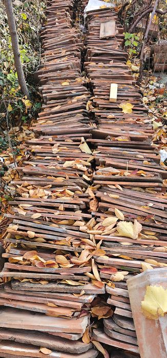 Vand tigla solzi de peste in conditie buna.1 leu bucata