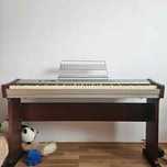Pian electric Hemingway DP 201