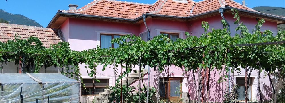 Имот в Мъглиж с двор 540кв.м.