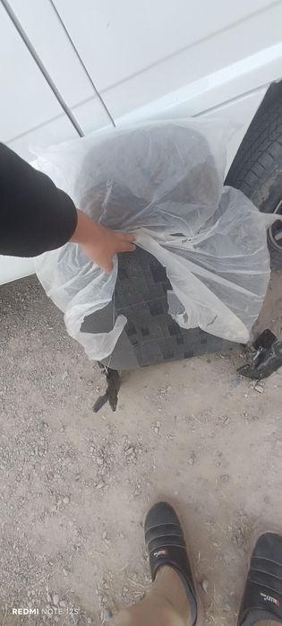 Суйангичи дамасни