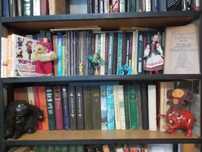 Детские книги и энциклопедии с подарочными фигурками животных