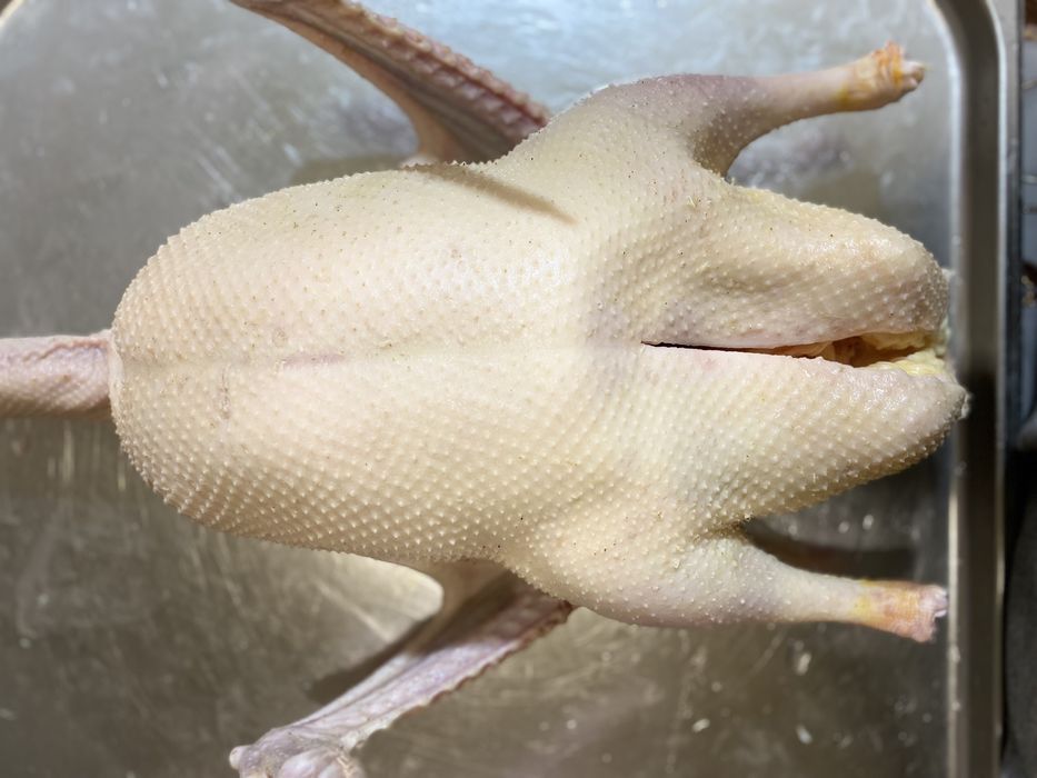 Гуси жирные (Сортировка)