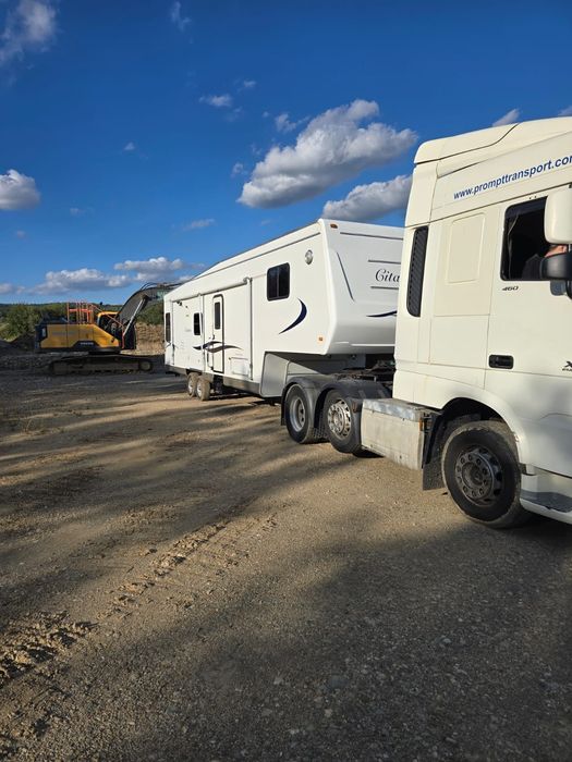 Rulota americana citation