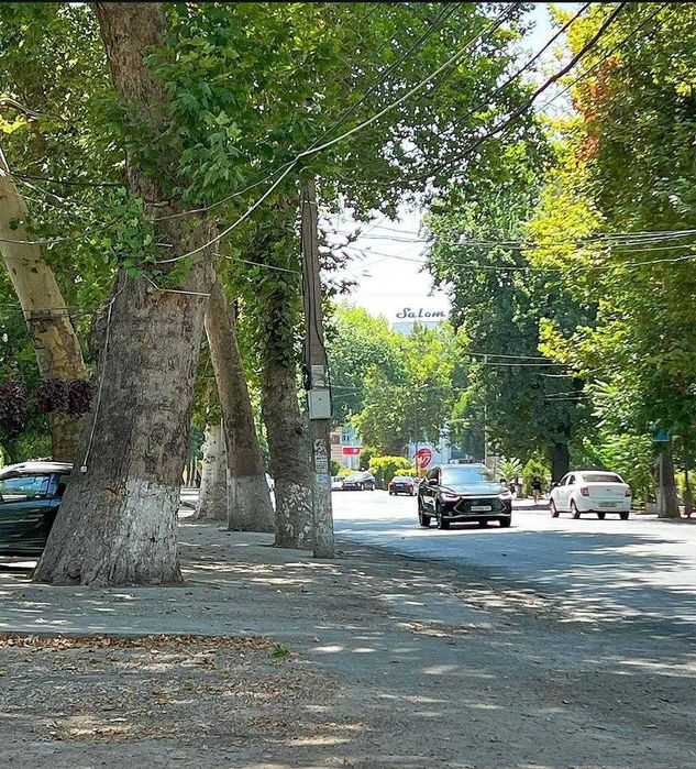 Салом Чойхона, Буюк Ипак Йули (1-я линия)
Участок: 9.3 сотки