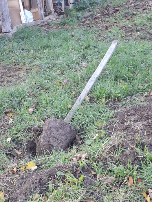 Бетонни колове 8 броя за лозе или за ограда.