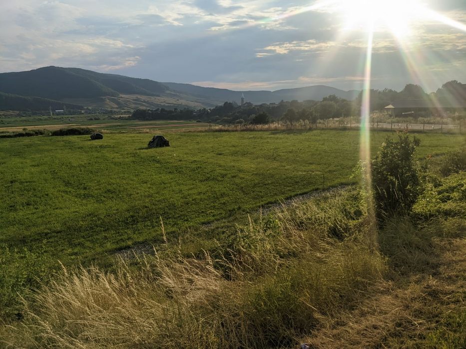 Teren intravilan - Crainimăt