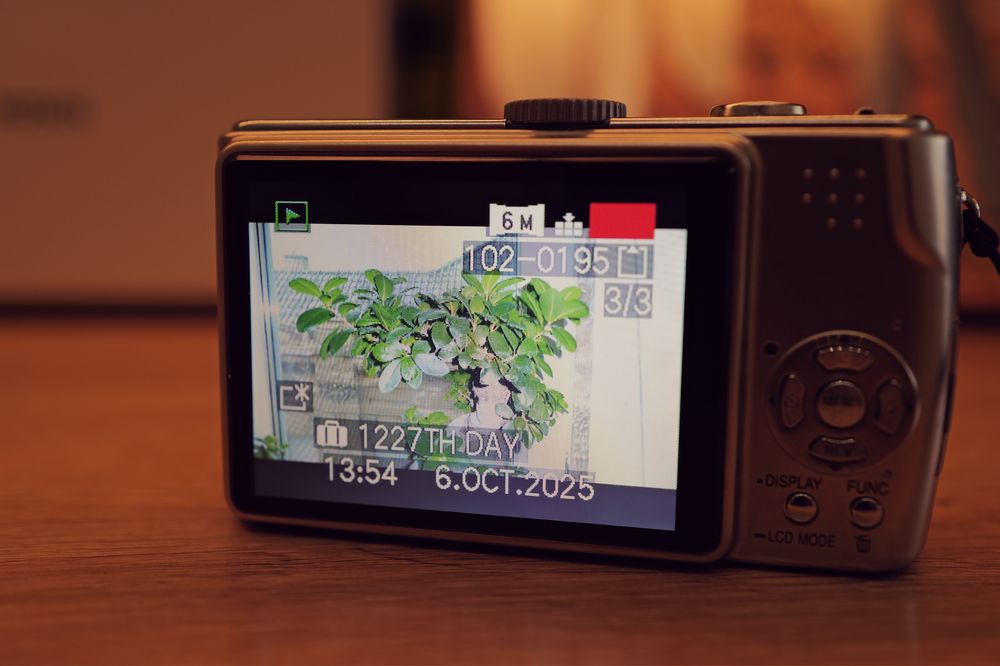 Aparat foto Panasonic Lumix TZ3 lentile Leica card incarcator