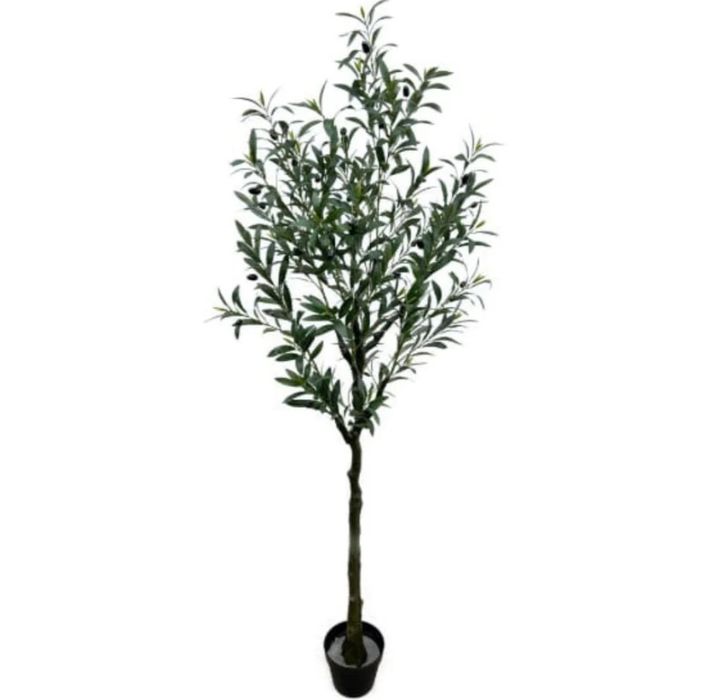 Pom decorativ maslin cu ghiveci inclus model NOU aspect realist