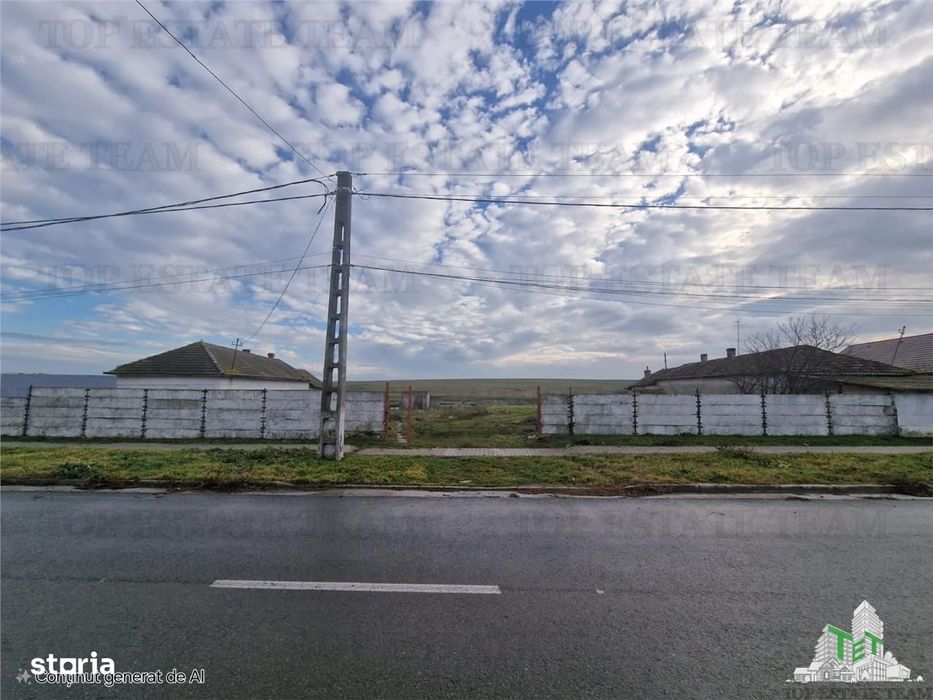 Teren 4500 M Cogealac