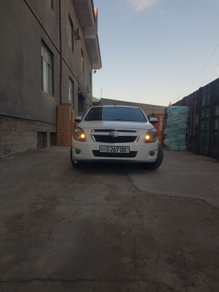 Cobalt 2021 yil,padagref sidenyalik