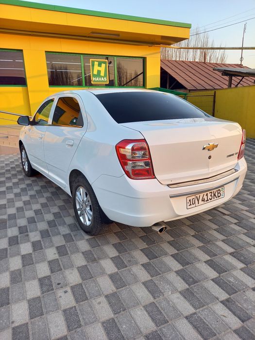 Коблыт сотыладии