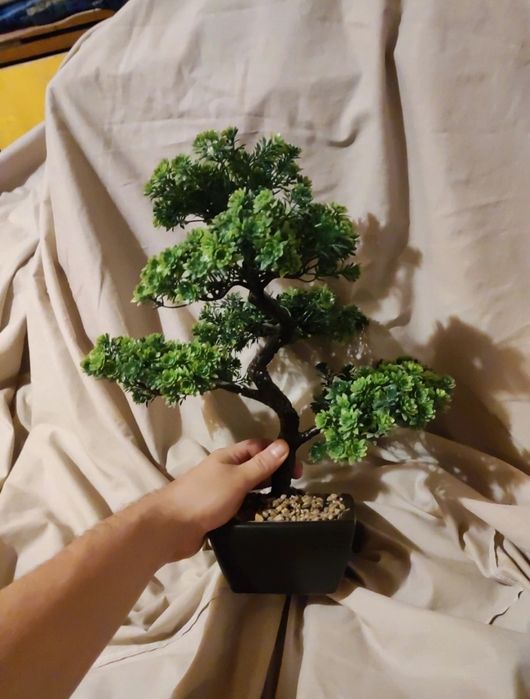 Bonzai din plastic in ghiveci ceramic