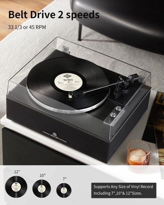 Vinyl Record Player