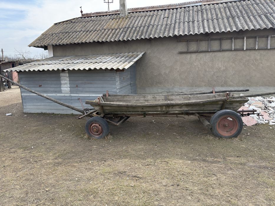Faiton de vanzare