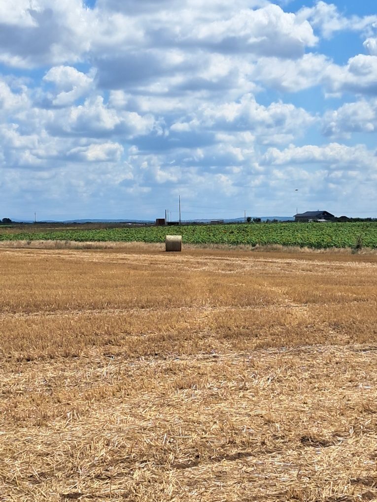 Vând 2 ha teren parcelabil Livada de Bihor