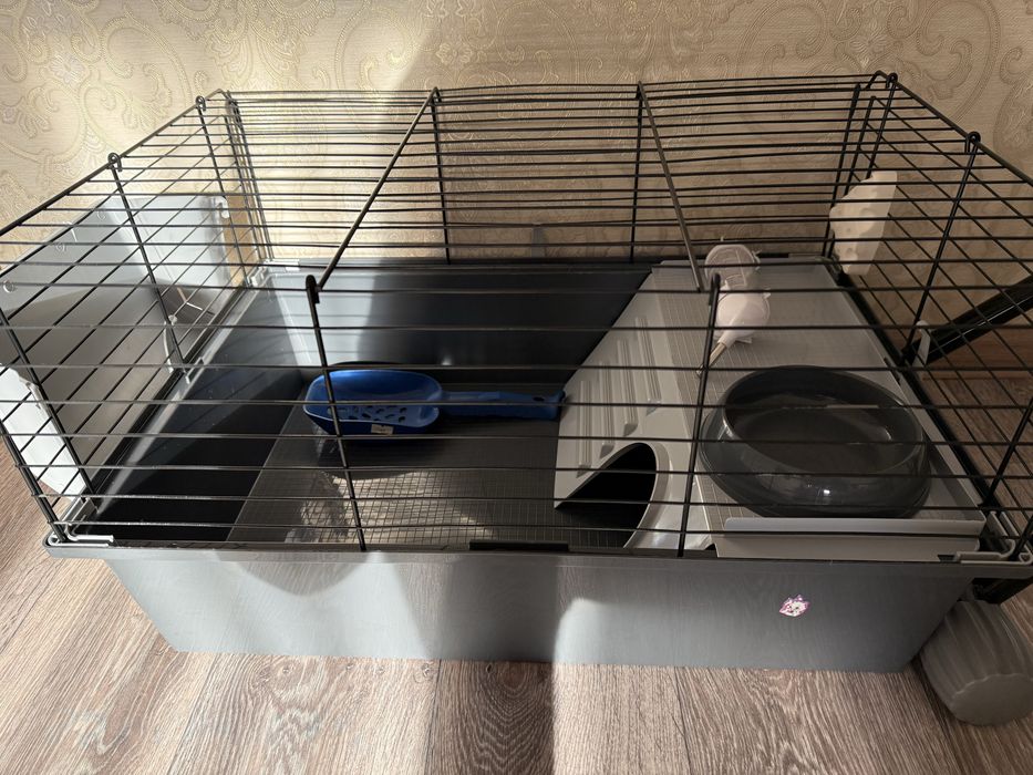 Клетка в идеальном состояние новая