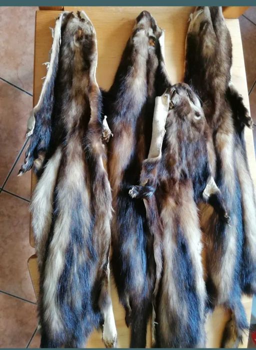 Blanuri jder arghesite