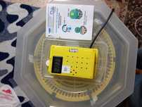 Incubator/Clocitoare