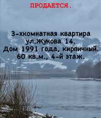 Жукова 14, 4-й этаж, 60кв.м. г.Шемонаиха.