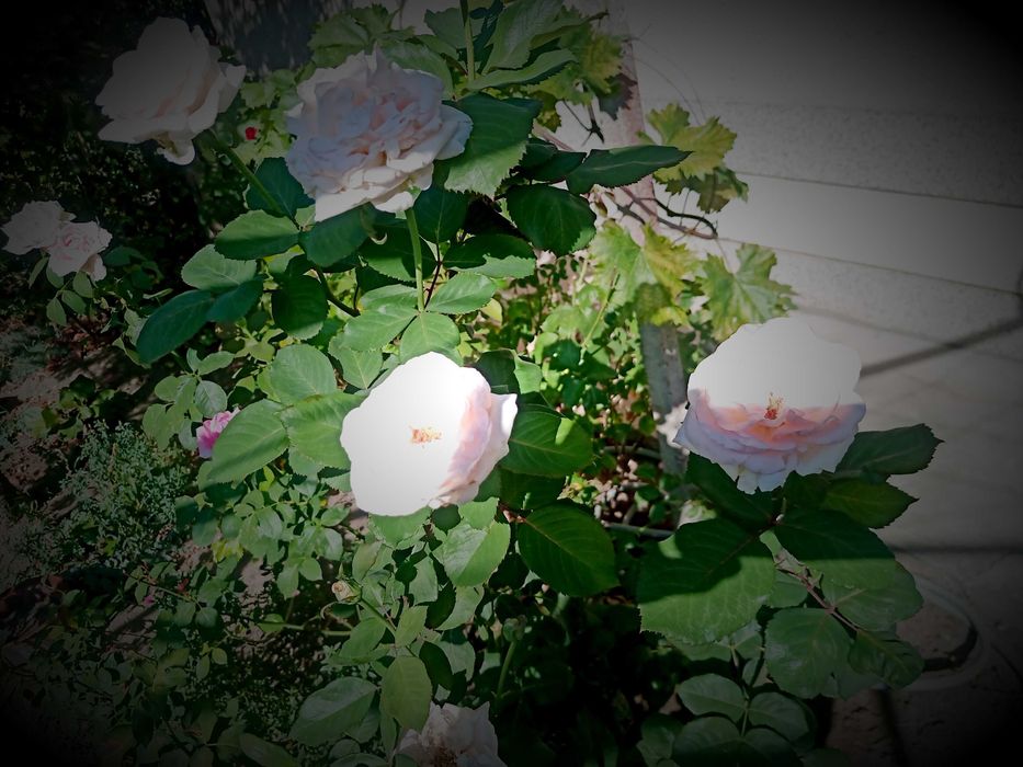 Продава се Къща в Николаево - 95 кв.м за 1264 €/кв.м - Снимка #1