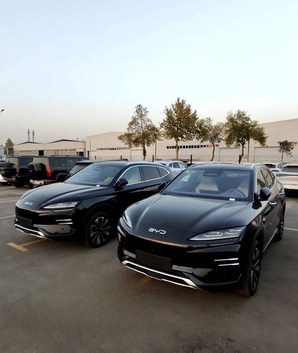 **BYD champion smart 26 model