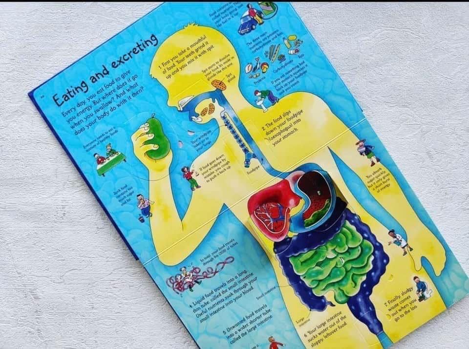 See inside your body - Usborne