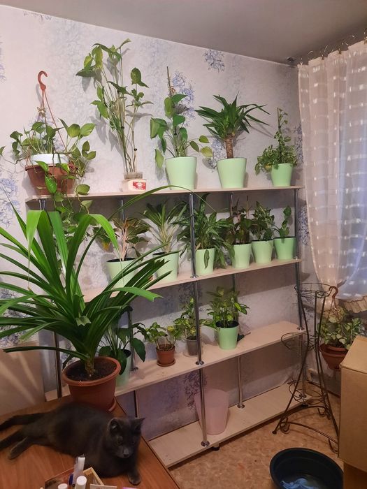 Продам 4х ярусный стеллаж