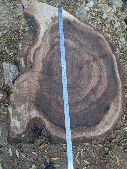 Rondele nuc. PREȚ SUPER BUN