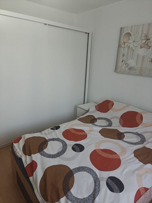 Ap 3 camere Et 2 Alexandru cel Bun