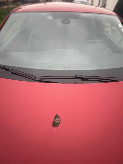 VW Scirocco 1,4 Бензин Турбо (2009