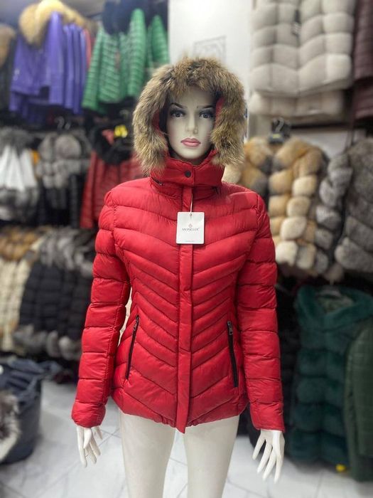 Geci dama model nou scurt sau lung .