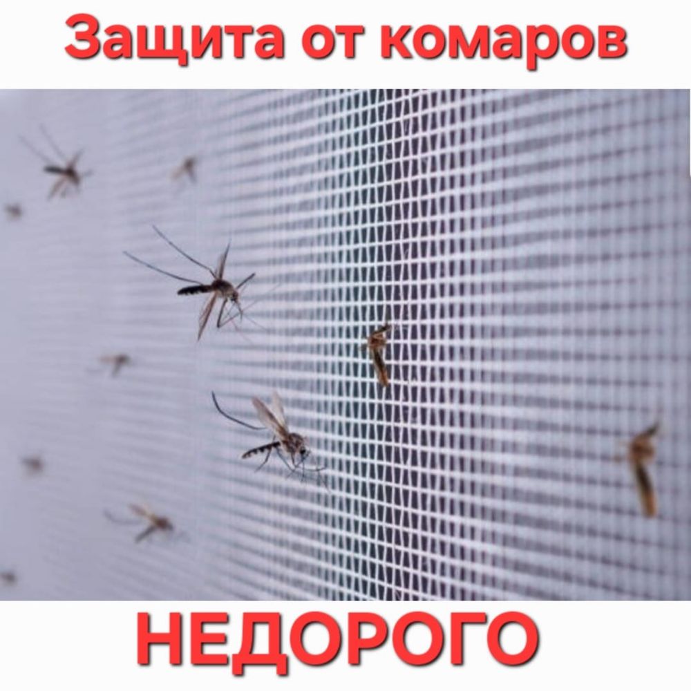 Москитная сетка по доступной цене!