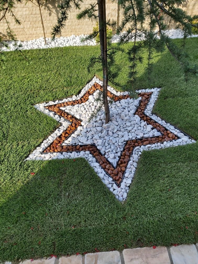 Gazon Oradea semințe gazon rulou montaj piatra decorativa